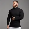 Mens Sweaters Autumn Winter Fashion Turtleneck Mens Thin Sweaters Casual Roll Neck Solid Warm Slim Fit Sweaters Men Turtleneck Pullover Male 221007