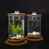 Aquários Aquários pequenos tanques de peixes rotativos transparentes aquário de vidro mini peixes ornamentais Bowls Aquarium Products 2201007