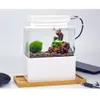 Aquariums Mini Betta Fish Tank Desktop Marine Aquaponic Aquarium Fishes Bowl With Water Filter LED Light USB Air Pump Portable Decorations 2201007