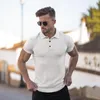 Erkek Polos Koşan Örgü Polo Gömlek Erkekler Fitness Sıska Kısa Kollu T-Shirt Erkek İnşa Tee Sports Yaz Salonu Giyim