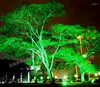 Luci da giardino a LED a LED esterno telecomandato IP65 LASER verde impermeabile 30MW ROSSO ROSSO 100MW LIMA LIGUATA PER