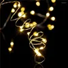 Strings 2m 20-LED Copper Wire String Light With Bottle Stopper For Glass Craft Fairy Valentines Wedding Decoration Lamp Party