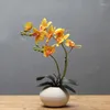 Kwiaty dekoracyjne 1 set prawdziwy dotyk motyl orchidea sztuczna dekoracja domowa phalaenopsis wazon ceramiczny na imprezę weselny fałszywy disted