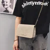 Evening Bags Fashion Chain Small Bag Canvas 2022 Women's Crossbody Mori Girl Square Sling Handbag Female Luxury Shoulder For Women