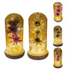 Decoratieve bloemen Mooi bewaard gebleven bloem opvallend lichtgewicht gedroogd lamp Desktop ornament