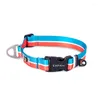 Hundhalsar Fashion Collar Justerbar nylon Pet Neck Belt Training Walking Small Accessories Greyhound