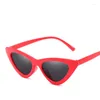 Gafas de sol Sexy Cat Eye Women Dise￱ador de marca Mirror Negro Tri￡ngulo Sun Gasas Sombras de lentes Femeninas Para Ladies Eyewear UV400
