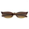 Óculos de sol Cooyoung Moda gato Eye Women Designer Trendy estreito triangular pequena damas vintage óculos UV400