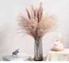 Декоративные цветы 15 шт -сцен украшение пампас трава крупная настоящая сушеные тела цветочные букет домашние растения Стол Флоры сохранения натура