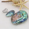 Kolye Kolye Outlet Çok renkli doğal abalon kabuk oval şekil kakma kolye kazak zinciri zanaat moda takı yapımı y580