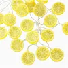 Str￤ngar LED Lemon Garland orange skivor String Light Yard Wedding Home Party Decoration Batterilampor Holiday Lighting 2022