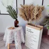Decorative Flowers Dried Reeds Natural Plants Bunch Small Pampas Grass DIY Craft Wedding Bouquet Pography Props Home Decoration Supplies