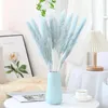 Decoratieve bloemen 15 -stks Decoratie Pampas Grass Grote echt gedroogde Reed Flower Bouquet Home Planten Tabel Flores Preservadas Natura