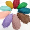 Colored Ostrich Feathers for Crafts Wedding Decoration Handicraft Accessories Table Centerpieces Carnival Plumas Decor