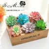 Fleurs décoratives 1 pc plantes succulentes artificielles bricolage pour jardin bureau Table fête chambre salon décoration faux bonsaï