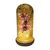 Decoratieve bloemen Mooi bewaard gebleven bloem opvallend lichtgewicht gedroogd lamp Desktop ornament