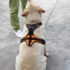 犬の襟反射ナイロンラージペットハーネスアウトドアアドベンチャーベスト調整可能な安全車両の犬用リード