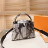 2022 Женщины Newwst Totes Designer Bags Cormes Классические сумочки Широкие ремешки для плеча сумки высшего качества поперечное тело