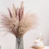 Decoratieve bloemen 15 -stks Decoratie Pampas Grass Grote echt gedroogde Reed Flower Bouquet Home Planten Tabel Flores Preservadas Natura