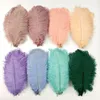 Colored Ostrich Feathers for Crafts Wedding Decoration Handicraft Accessories Table Centerpieces Carnival Plumas Decor