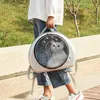 Housses de siège de voiture pour chien 2in1 sac de transport pour animaux de compagnie chat respirant Portable 3 couleurs emballage sac à dos pour petit chaton voyage en plein air