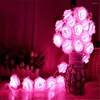 سلاسل RomanticString الخفيفة الفناء الخلفي ديكوروكوز نوع البطارية الوردة LED أضواء السلسلة الخارجية 20 3M زفاف ديكور الحلي