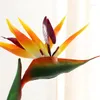 Dekorativa blommor Artificial Flower Bird of Paradise Strelitzia Furniture Home Living Roomwedding Desktop Party Decoration Gift Pography