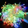 Strings 10m 100 LED STRING LICHTEN Kerstmis Outdoor Decoratie Wedding Party Garland verlichting Gullande lumineuse exterieur