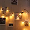 Strings 110V 20 LED Light Bulb Ball String Fairy Lights For Bedroom Xmas Wedding Party 55