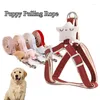 Colliers pour chiens, corde de Traction pour animaux de compagnie, harnais Portable, gilet, câble de Transport réglable, laisse, fournitures de Traction