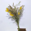 Decorative Flowers Natural Dried Pampa Grass Bouquet Boho Home Decor Phragmites Wedding Decoracion Hogar Moderno