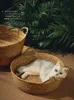 Cat Beds Furniture Pure Manual Rattan Woven Nest Four Seasons General Dandelion Cool Bed Scratch Board Pet Products 221010