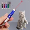 Kedi oyuncaklar komik kalem lazer led işaretçi açık oyuncak parlak animasyon gölgesi 5MW kırmızı nokta 650nm küçük hayvan görüşü interaktif güvenli