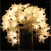 Saiten 6W 2,5M 20 LEDs Kupferdraht Sternvorhang LED-Lichterketten Lichterkette für Hochzeit Weihnachtsdekoration Lampe batteriebetrieben