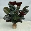 Dekorativa blommor Artificial Plant Simulation Plastic 26-Leaf Tree Potted Wedding Pography Props Home Living Room El Garden Plants Decor Dekor