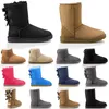 Зимние зимние сапоги, черные, серые, коричневые, модные классические ботильоны для девочек, короткие сапоги, женская уличная обувь без коробки, ультра мини-сапоги, меховые сапоги, шлепанцы, обувь из овчины, уродливые ботинки