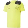 F1 Team 2022 Желтая спортивная футболка Special Edition с короткими рукавами Мужская рубашка-поло для фанатов Гоночная одежда178g