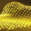 Struny świąteczne dekoracja świąteczne światło LED Net Ciąg na garden pokój imprezowy