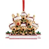 2022 Deer Christmas Ornament Family Name of 2-8 Hängen Hemdekoration Diy Namn Hårt harts julgrandekorationer Pandemic