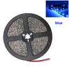 Tiras de luz de tira LED 5m 10m DC12V Rojo Verde Azul Cálido Blanco frío Amarillo Impermeable Flexible SMD 2835 Lámpara de cinta de cinta de diodo