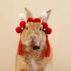 Housses de siège de voiture pour chien, accessoires Po, chapeau de Cosplay réglable de couleur vive pour la décoration