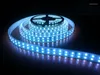 Полосы 20 м Светодиодный свет с двумя рядами TM1812 IC Dream Color RGB Strip 120Leds/M 5 м/рулон DC12V Трубка водонепроницаемость/не гибкая лента