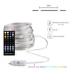 Strings WS2812B Bluetooth RGB Светодиодная струна USB 5V RGBIC Dream Color Gate Effect Lab