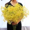 Faux Floral Greenery 80glot Белая гипсофила высушенная цветочная букет цветы настоящие цветочные дома, украшение гостиной 221010