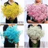 Faux Floral Greenery 80glot Белая гипсофила высушенная цветочная букет цветы настоящие цветочные дома, украшение гостиной 221010