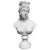 David Venus Athena Sona Bogini Bust Art Art Rzeźbia Rzutka Dekoracje do domu mini gips statua Art Material6594433