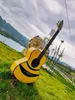 Areze Bumblebee 어쿠스틱 나무 기타 D 형 가문비 나무 베니어 측면 복숭아 심장