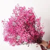 Faux Floral Greenery Natural Dried Flowers Gypsophila Bouqet Eternal Flower Arrangement In Vase Babys Breath Flowers for Decoration DIY Wedding Home 221010