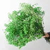 Faux Floral Greenery Natural Dried Flowers Gypsophila Bouqet Eternal Flower Arrangement In Vase Babys Breath Flowers for Decoration DIY Wedding Home 221010