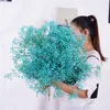 Faux Floral Greenery Flor Seca Natural Real Preservada Eternal Flowers Gypsophila Flower Wedding Party Bouquet Home Decor Babysbreath Flowerknows 221010